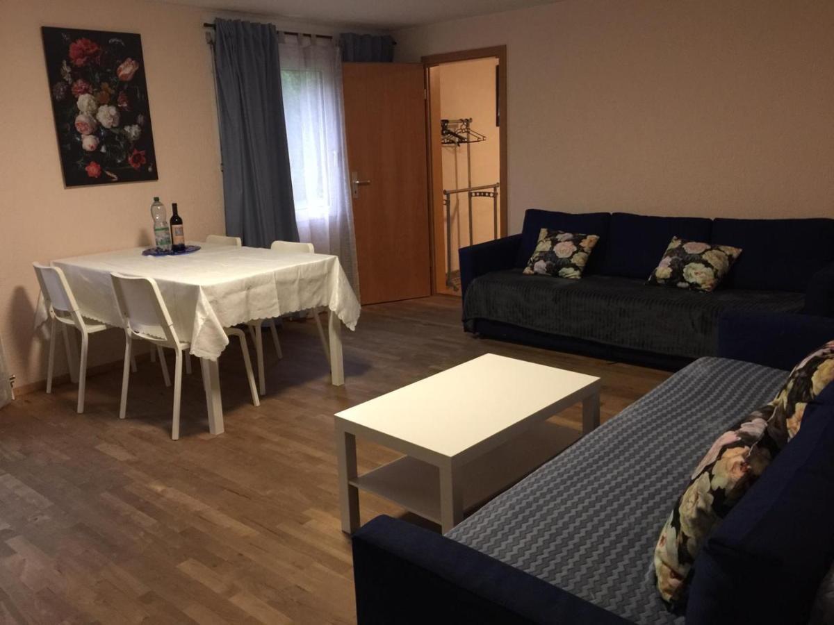 2 Rooms Cosy Apartment Near Liechtenstein هاغ المظهر الخارجي الصورة